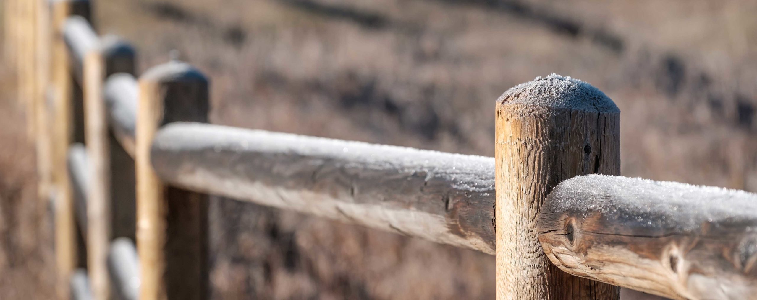 Le guide de la clôture en bois : conseils, prix, démarches